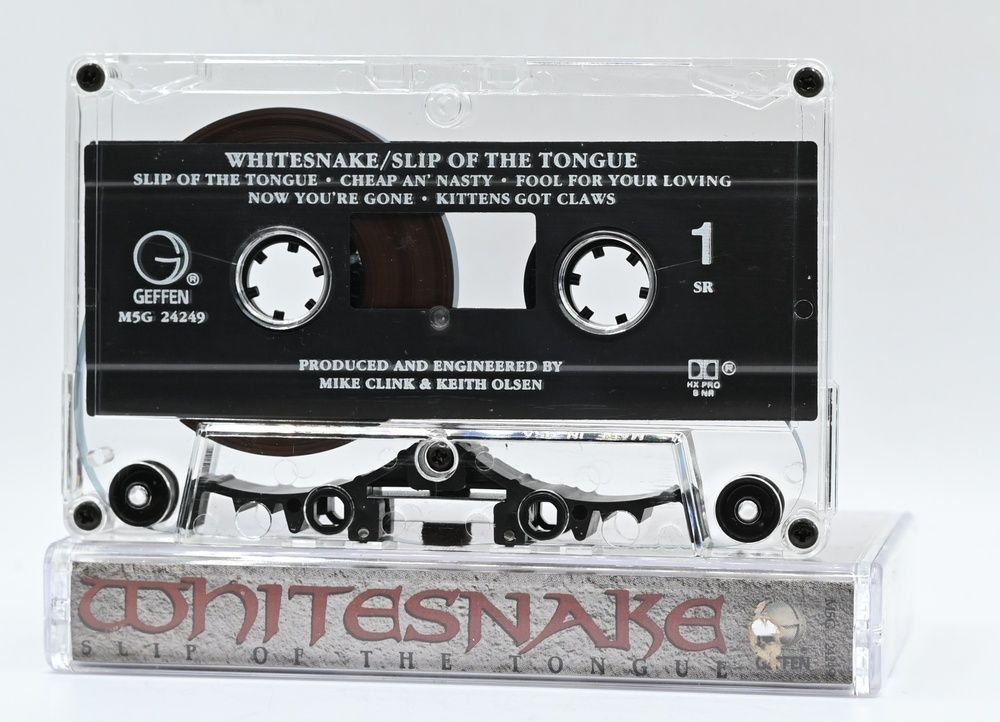 Whitesnake &ndash; Slip Of The Tongue S2-0215 фото
