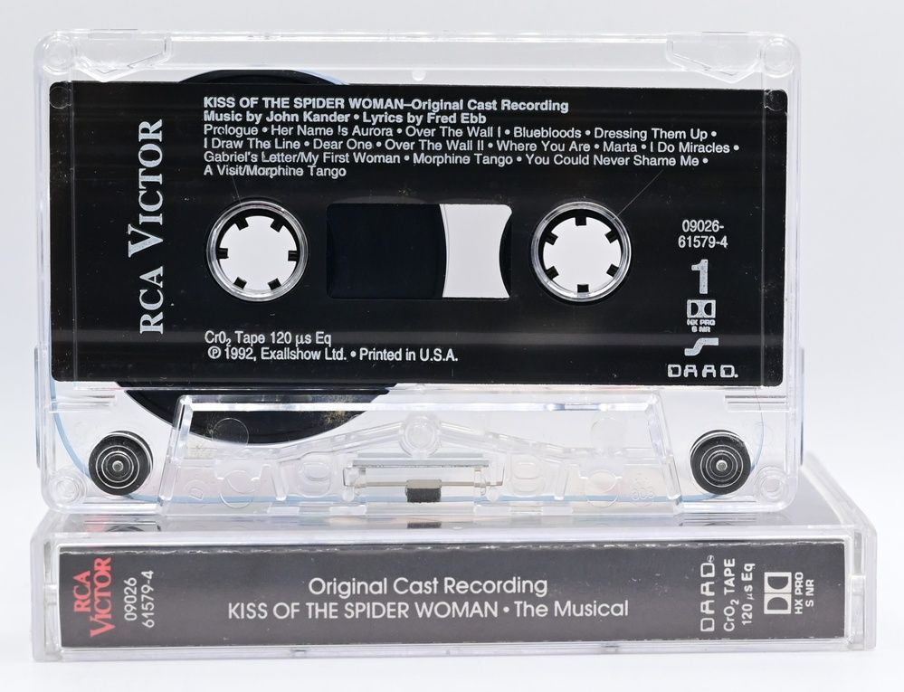 Kiss Of The Spider Woman The Musical - Original Cast Recording T1114_234 фото