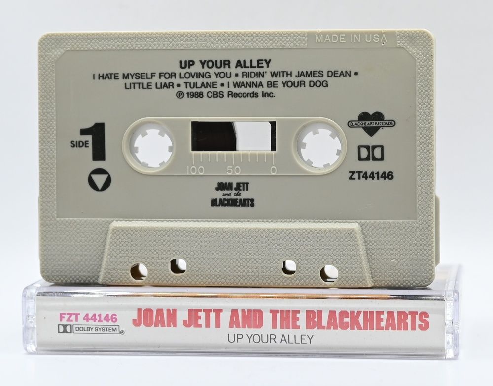 Joan Jett And The Blackhearts &ndash; Up Your Alleys S4_2940 фото