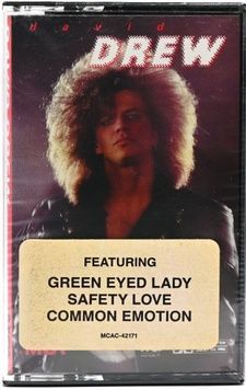 David Drew &ndash; Safety Love (Нова) F-005 фото