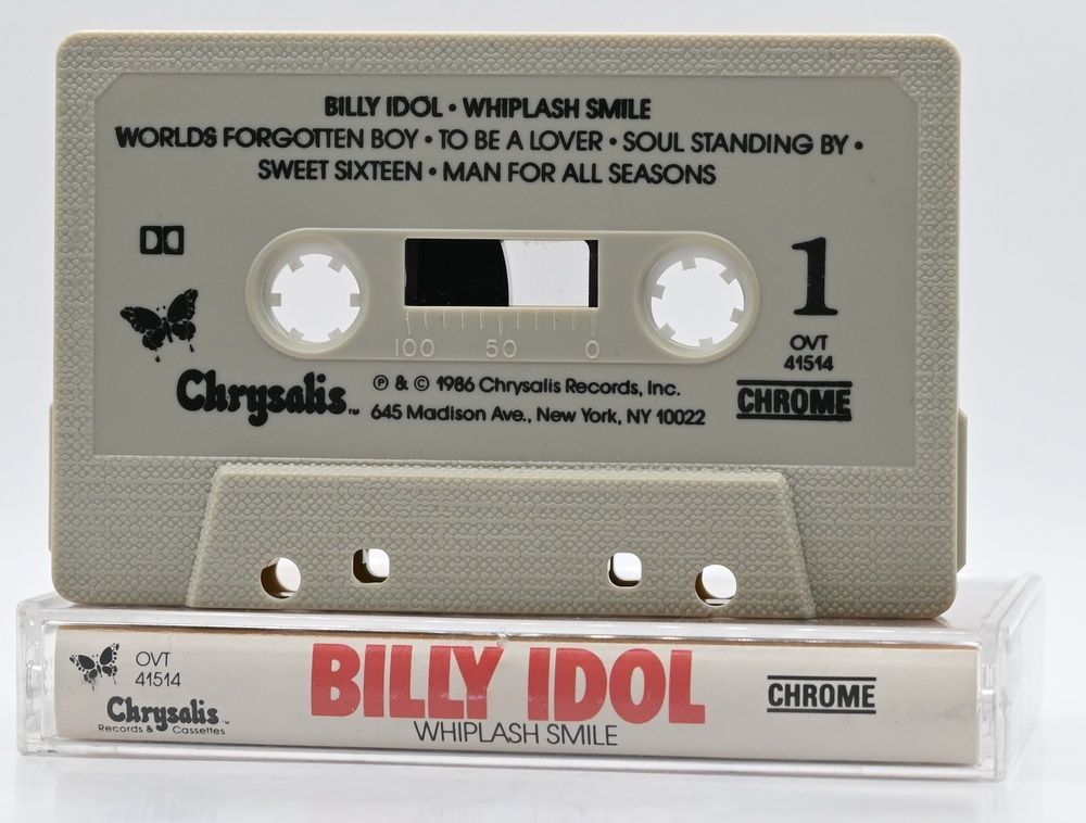 Billy Idol &ndash; Whiplash Smile A3-0221 фото