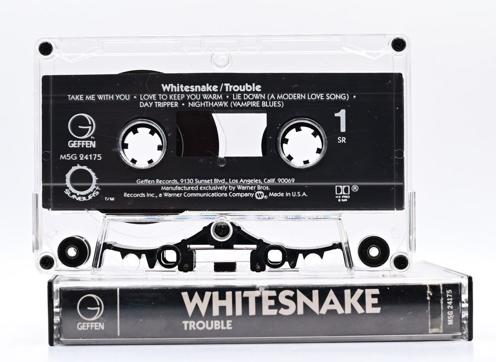 Whitesnake &ndash; Trouble T113_17970 фото