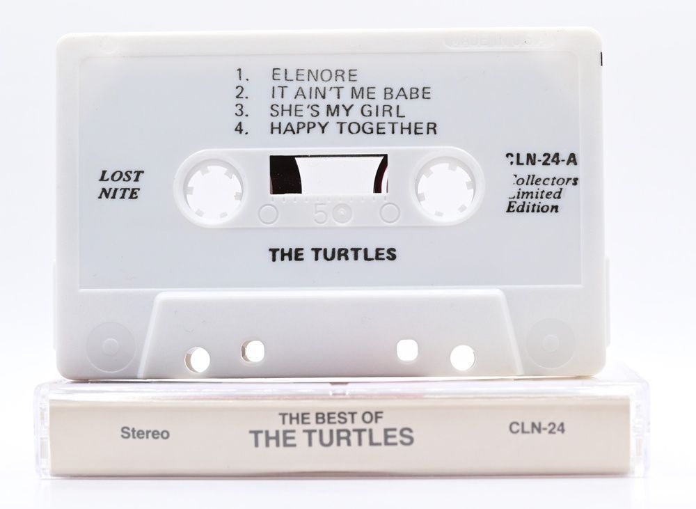 The Turtles &ndash; The best of T113_2125 фото