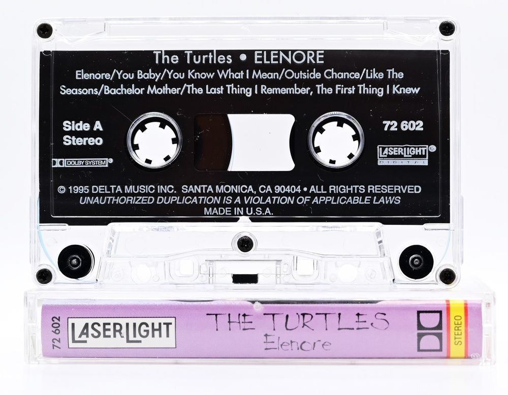 The Turtles &ndash; Elenore T113_2126 фото