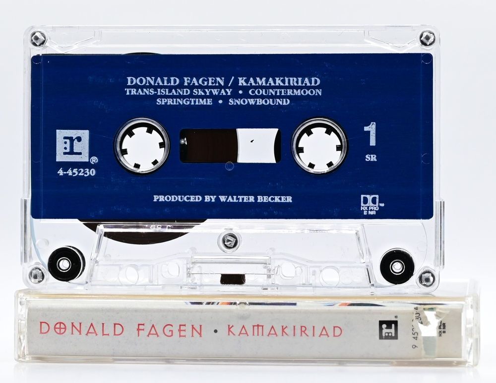 Donald Fagen &ndash; Kamakiriad T113_1786 фото