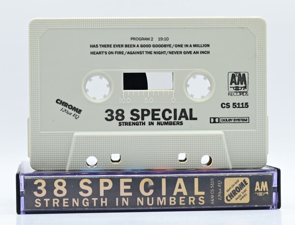 38 Special &ndash; Strength In Numbers T113_2210 фото