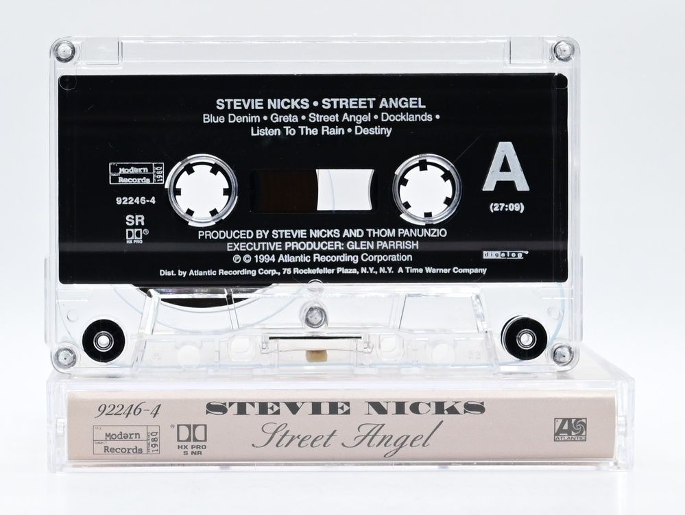 Stevie Nicks &ndash; Street Angel 3_1022 фото