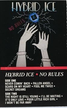 Hybrid Ice &ndash; No Rules AA_10145 фото
